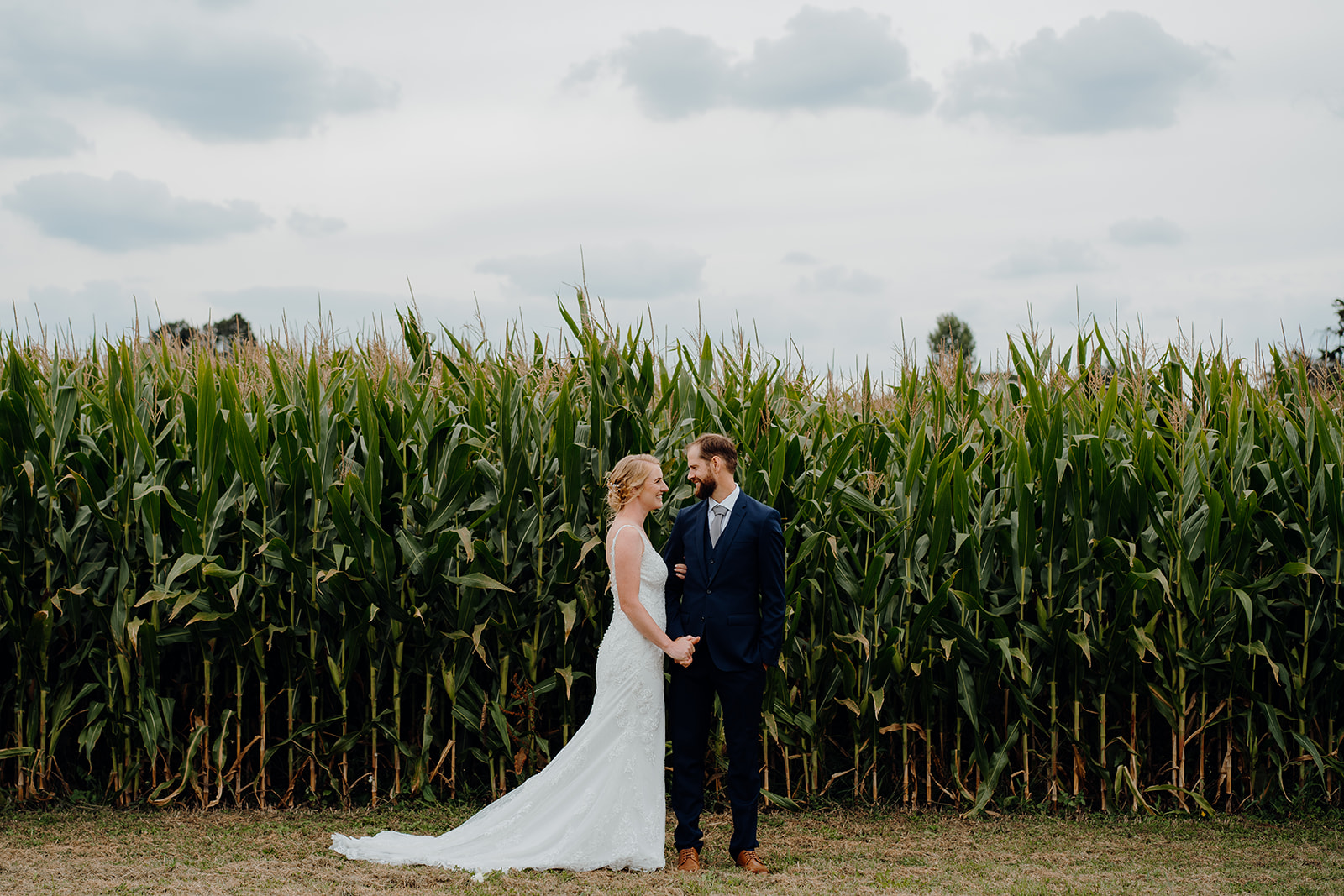A bride and groom standing in a corn field at Vilagrads Winery being photographed by Waikato Wedding Photographer Haley Adele Photography