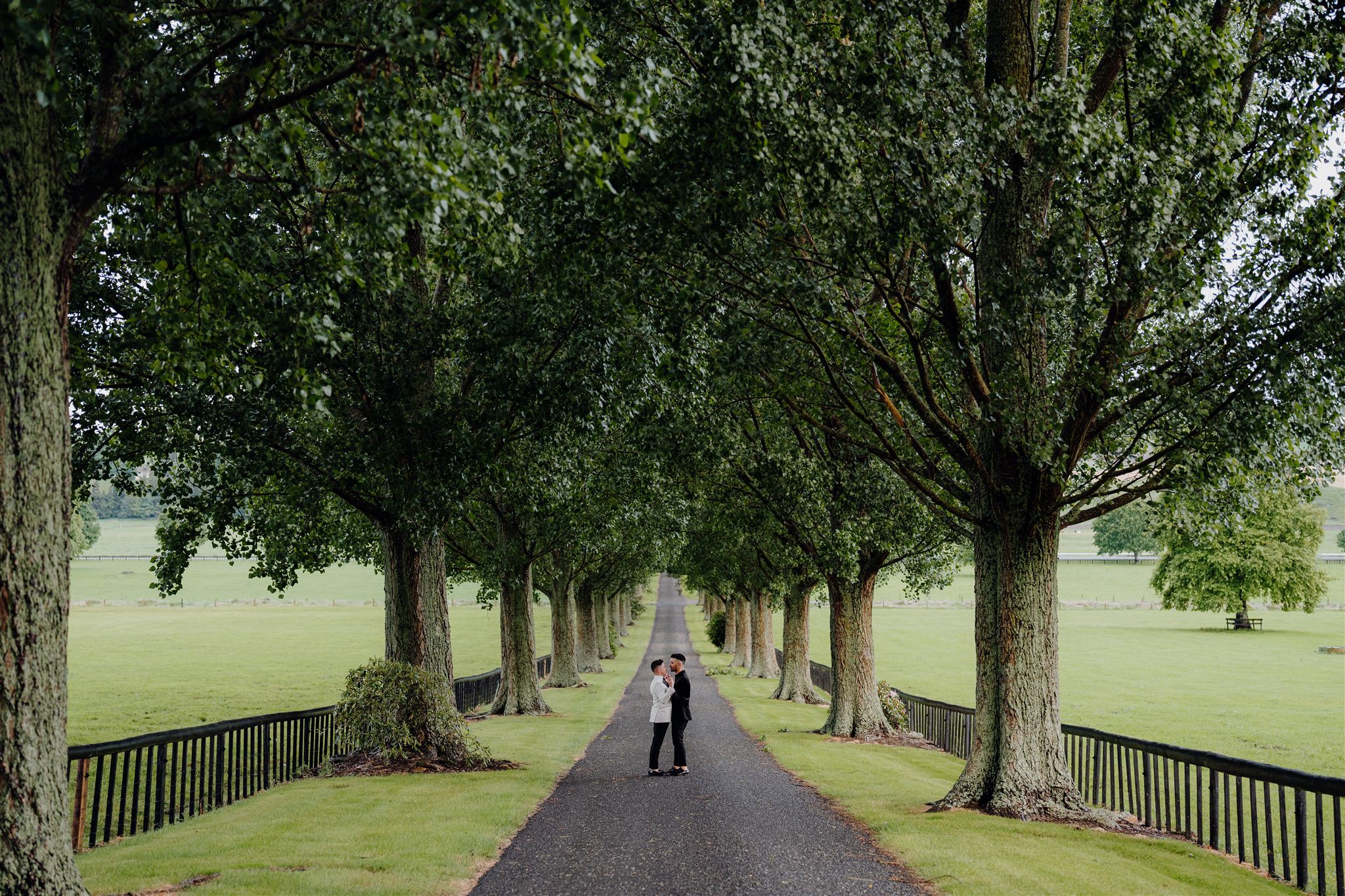 Daniel and Brandon walk hand in hand along the tree-lined driveway at The Red Barn in Waikato during the evening, dressed in their wedding suits, with soft light filtering through the rain for a romantic, cinematic feel.