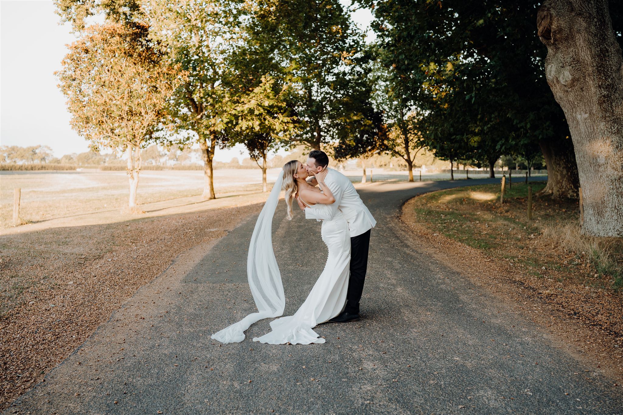 David dips Katie for a kiss on the tree-lined driveway at Woodlands Estate in Waikato as the sun sets behind them, golden light filtering through the trees for a romantic, timeless moment.