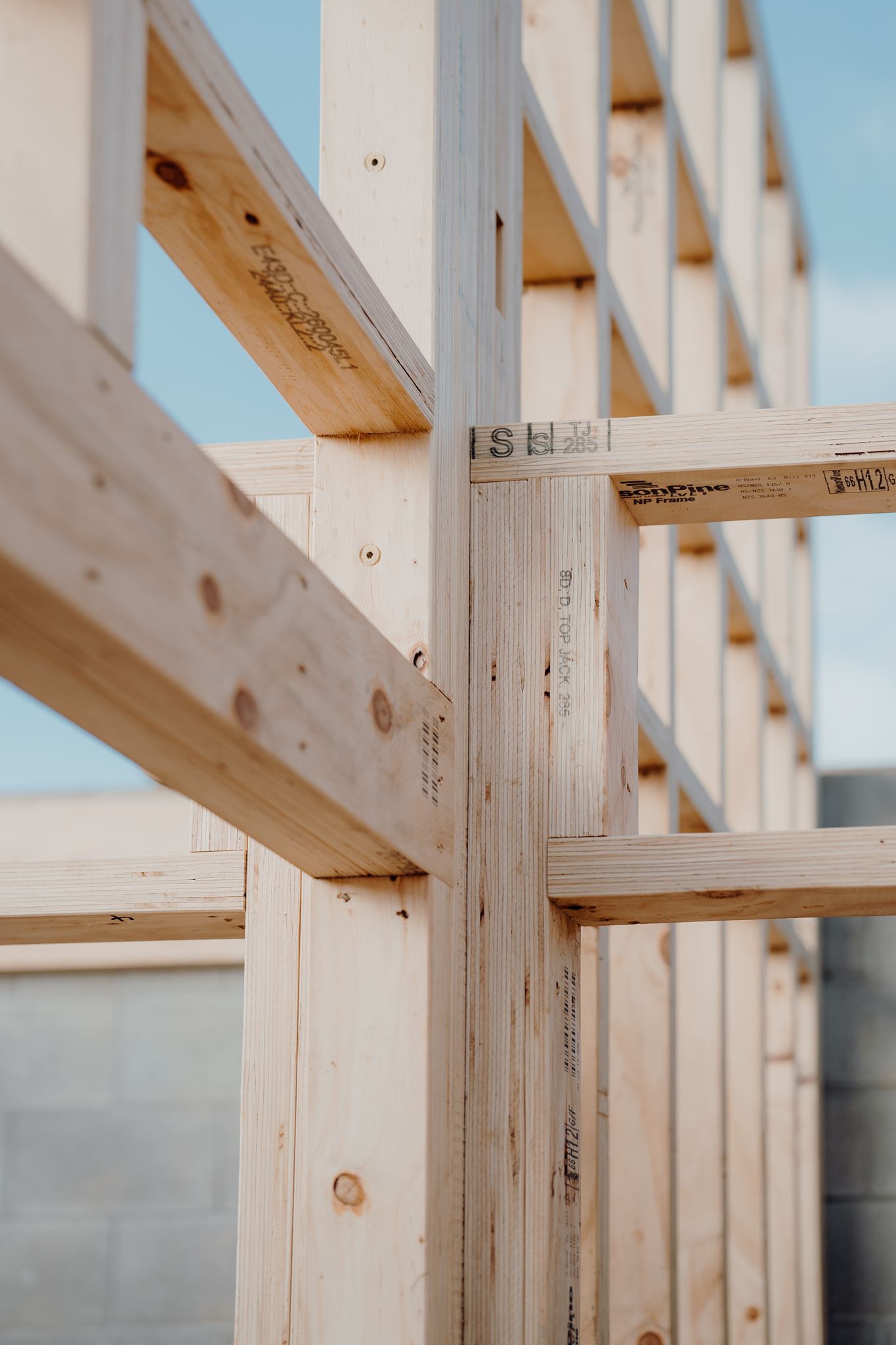 Timber framing photographed during a commercial construction photography shoot in Hamilton